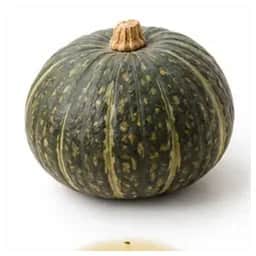 Ingrédient : courge