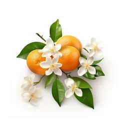 Ingrédient : fleur d'oranger