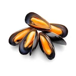 Ingrédient : moules de bouchot