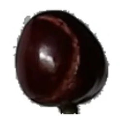 Ingrédient : cerises noires fraîches de type Burlat ou Marmotte, avec leurs queues et leurs noyaux (poids avant équeutage, prévoyez environ 650 g à l'achat pour parer les abîmées)