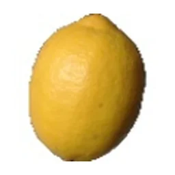 Ingrédient : Zeste de citron bio
