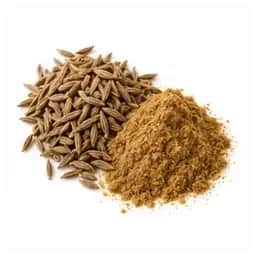 Ingrédient : cumin