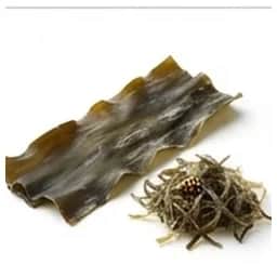 Ingrédient : kombu