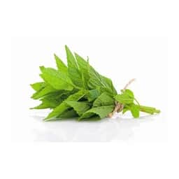 Ingrédient : Menthe fraîche