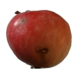 Ingrédient : Pommes à cuire