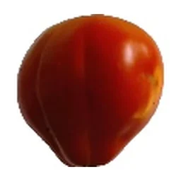 Ingrédient : tomates mûres fraîches