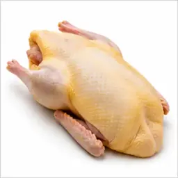 Ingrédient : Canard