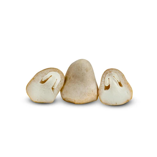 Ingrédient : Champignon de paille
