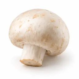 Ingrédient : Champignon portobello
