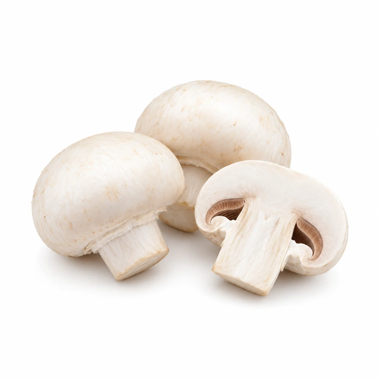 Ingrédient : Champignons de Paris