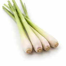Ingrédient : Citronnelle en tiges
