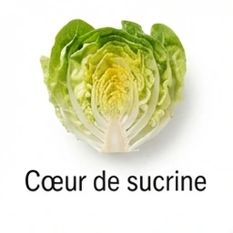 Ingrédient : Sucrine