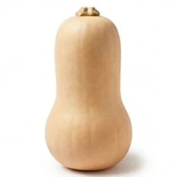 Ingrédient : Courge butternut