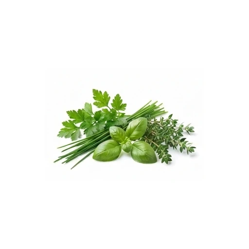 Ingrédient : Herbes fraîches