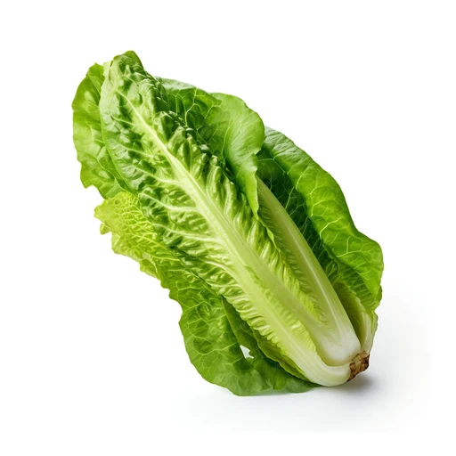 Ingrédient : Laitue romaine