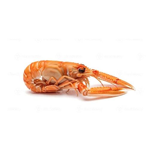 Ingrédient : Langoustine
