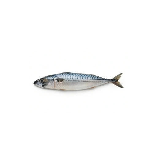 Ingrédient : Maquereau