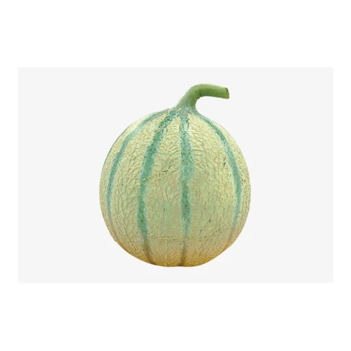 Ingrédient : Melon