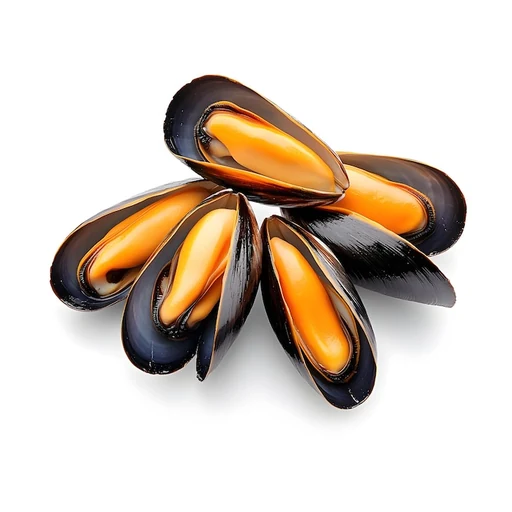 Ingrédient : Moule fraîche