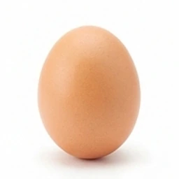 Ingrédient : Œuf