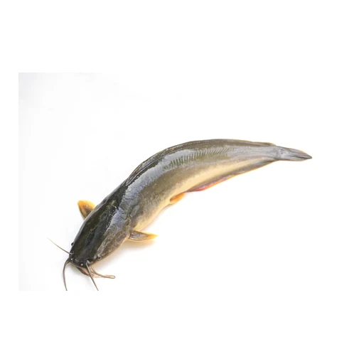 Ingrédient : Poisson-chat