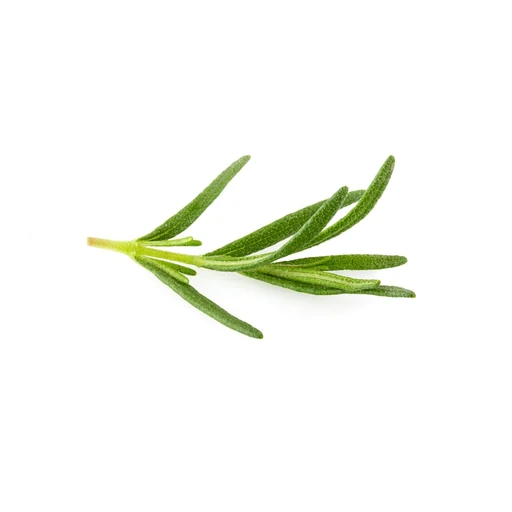 Ingrédient : Romarin