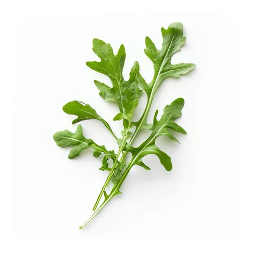 Ingrédient : Roquette