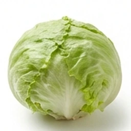 Ingrédient : Salade verte