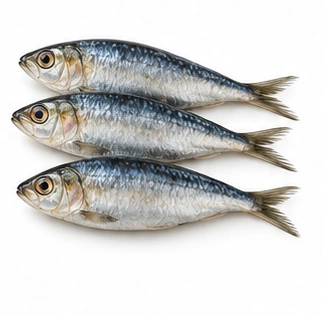 Ingrédient : Sardine